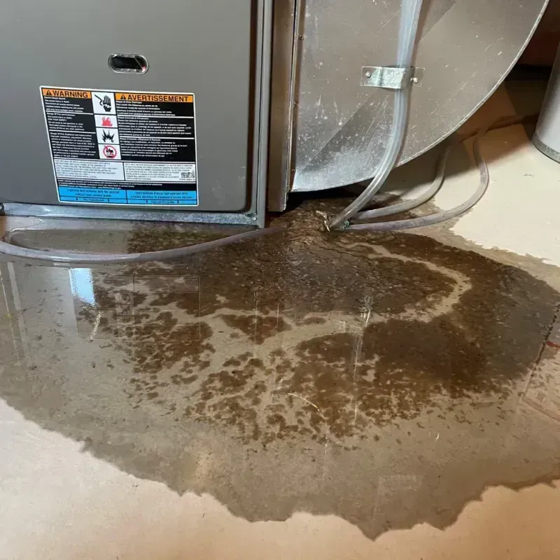 Appliance Leak Cleanup in Centerville, TN